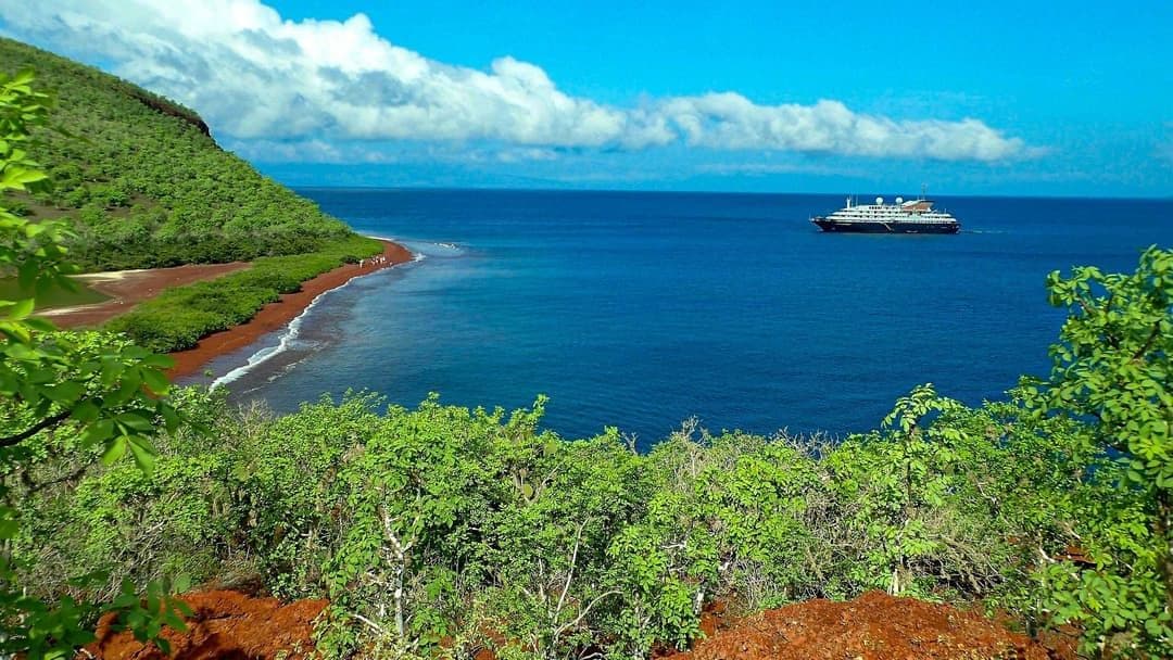 The Galápagos Islands: A Journey That Transforms You