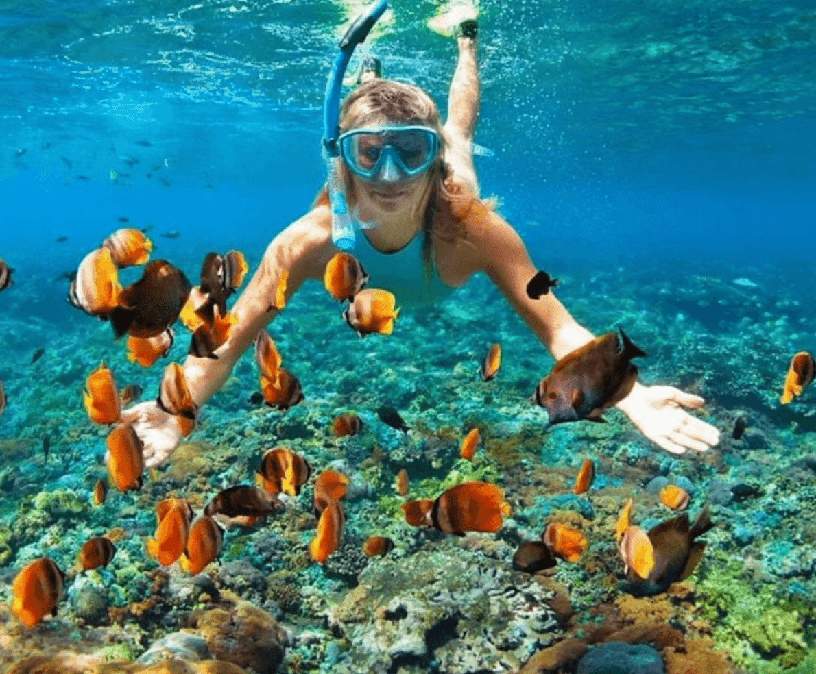 The Galápagos Islands: A Journey That Transforms You